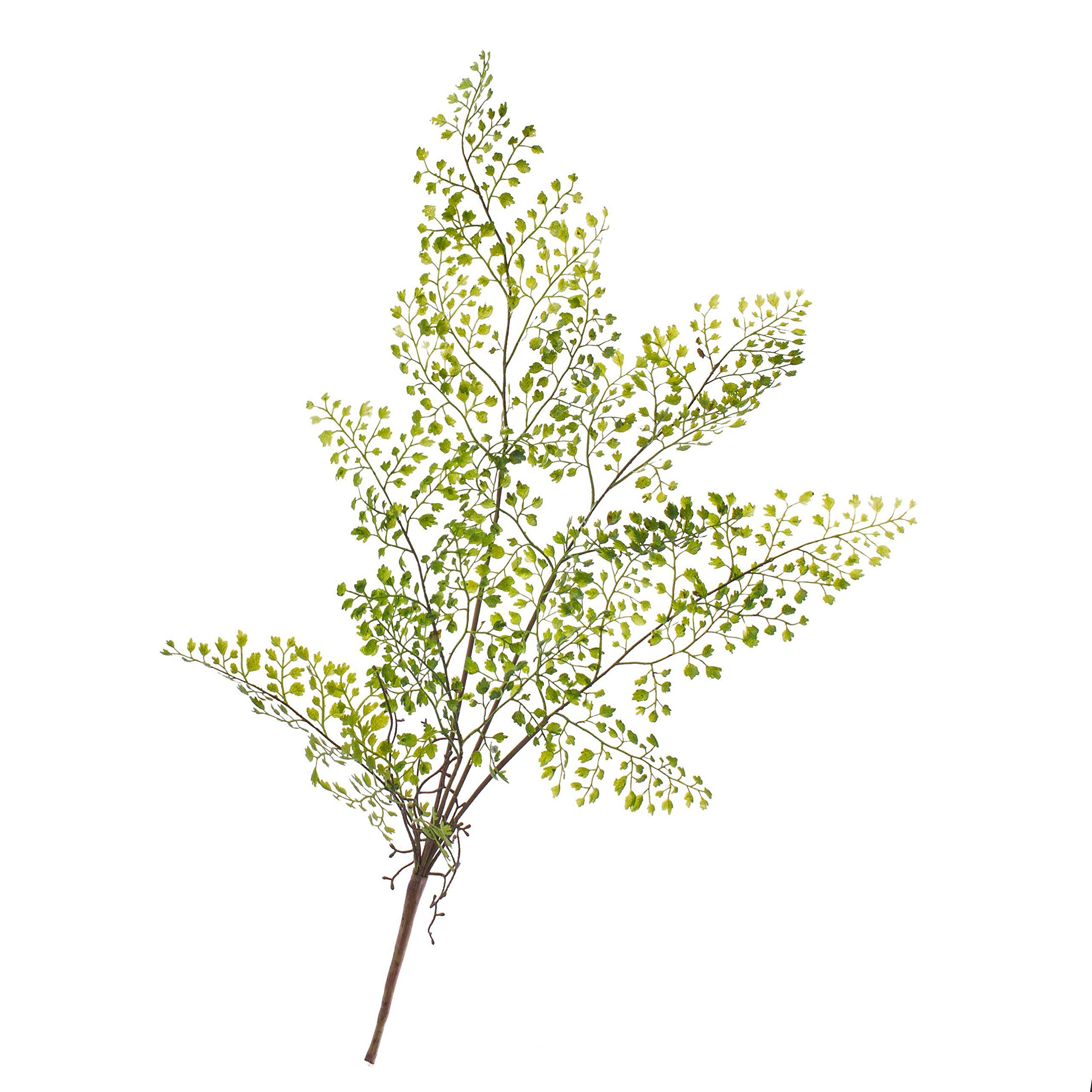 Capelvenere sintetica ROBIN, verde, 50cm - Piante artificiali