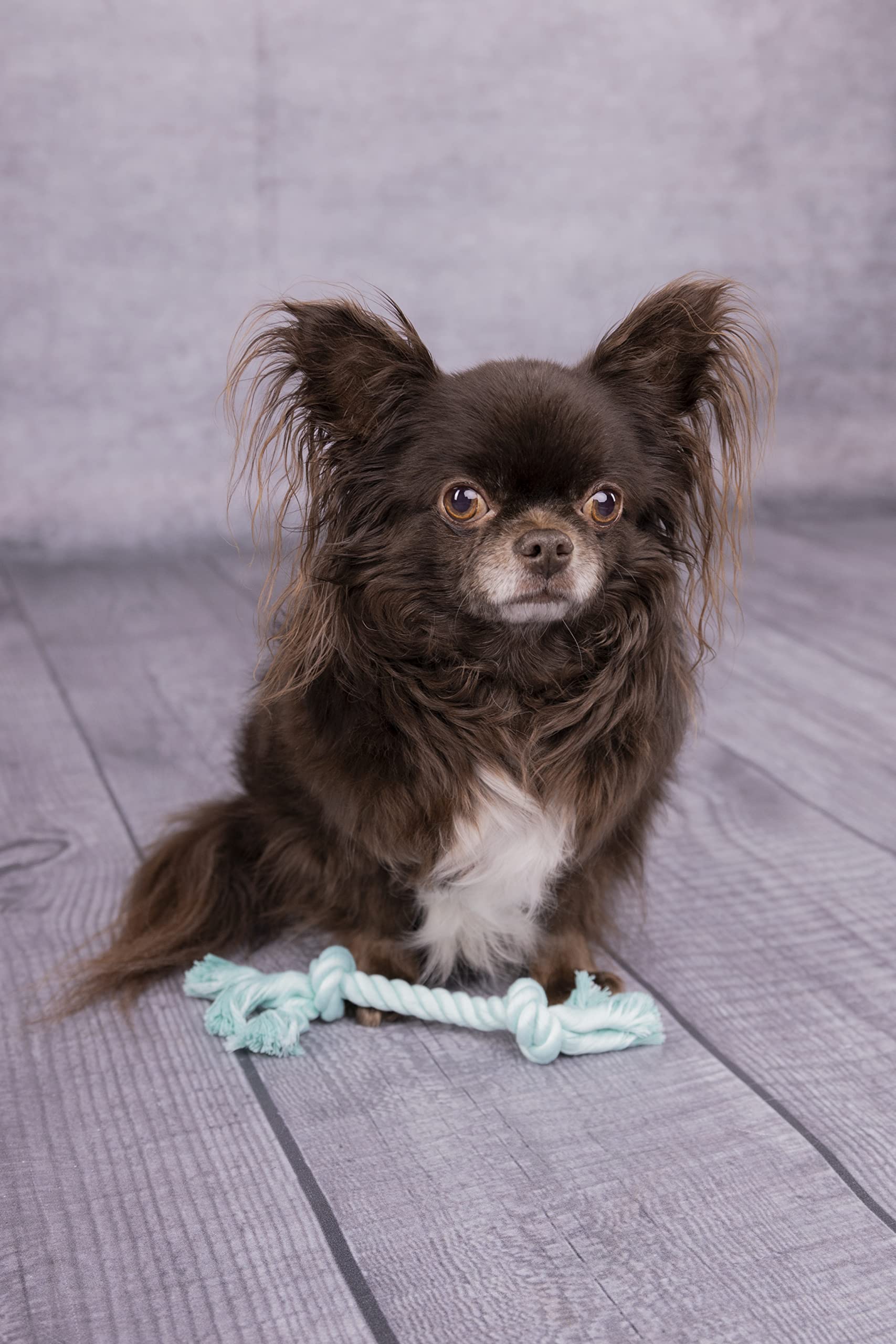 Flamingo HS SMALL Dog CUB KNOTENSEIL IZRA GRÜN 20CM