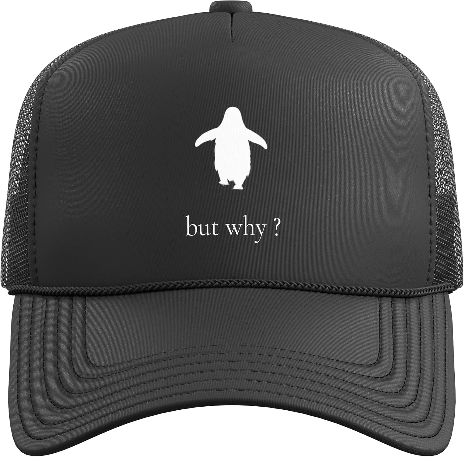 Penguin Mountain But Why Meme Trucker Hat with Adjustable Mesh Back image 2