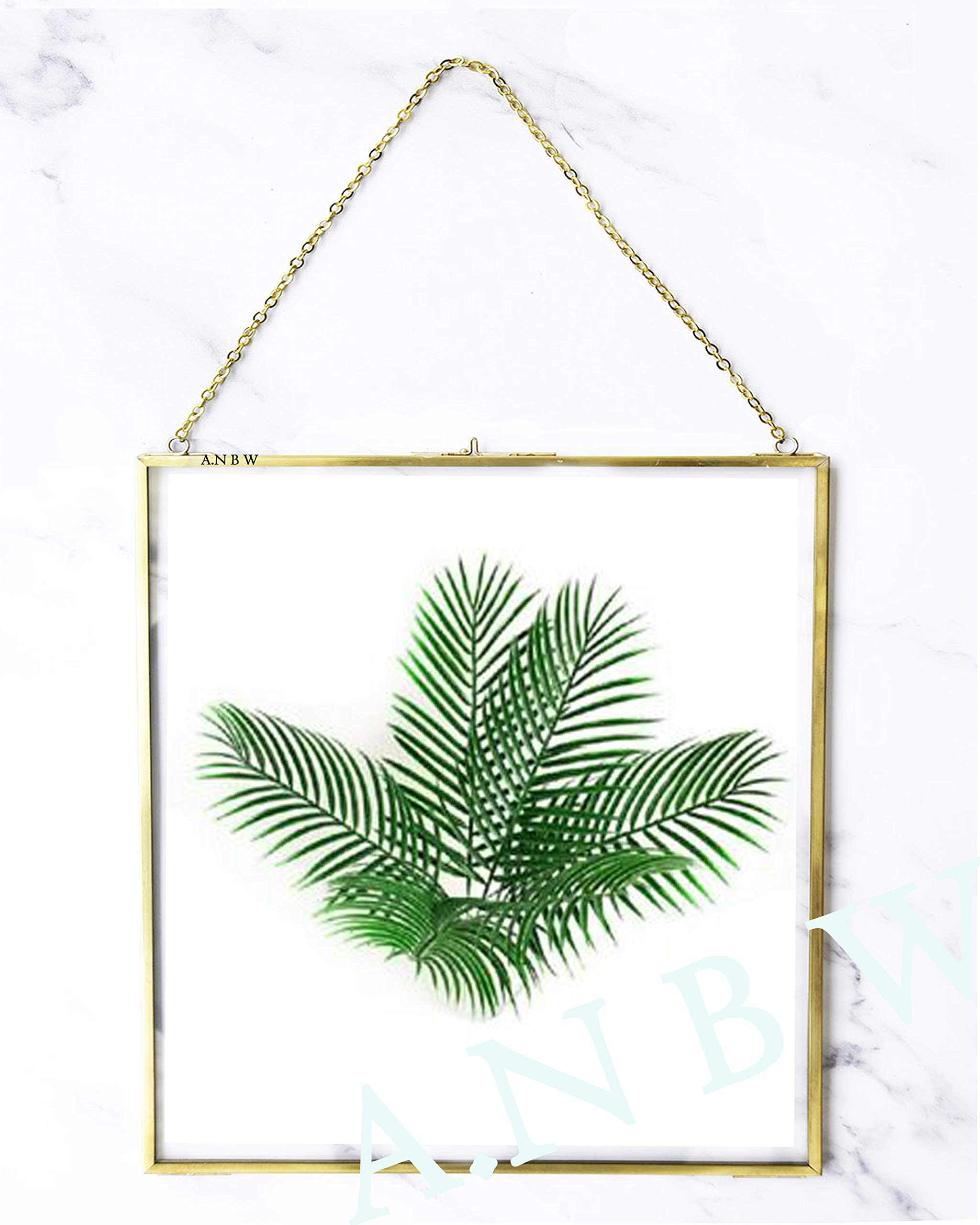 AN Brass World Handicraft Steel and Glass Hanging Wall Mounted Flower Plant Display Photo Frame for Wall with 2 Sides Glass (Golden, 8x8 inch) (B08C32Y3X4) Amazon Price History, Amazon Price Tracker