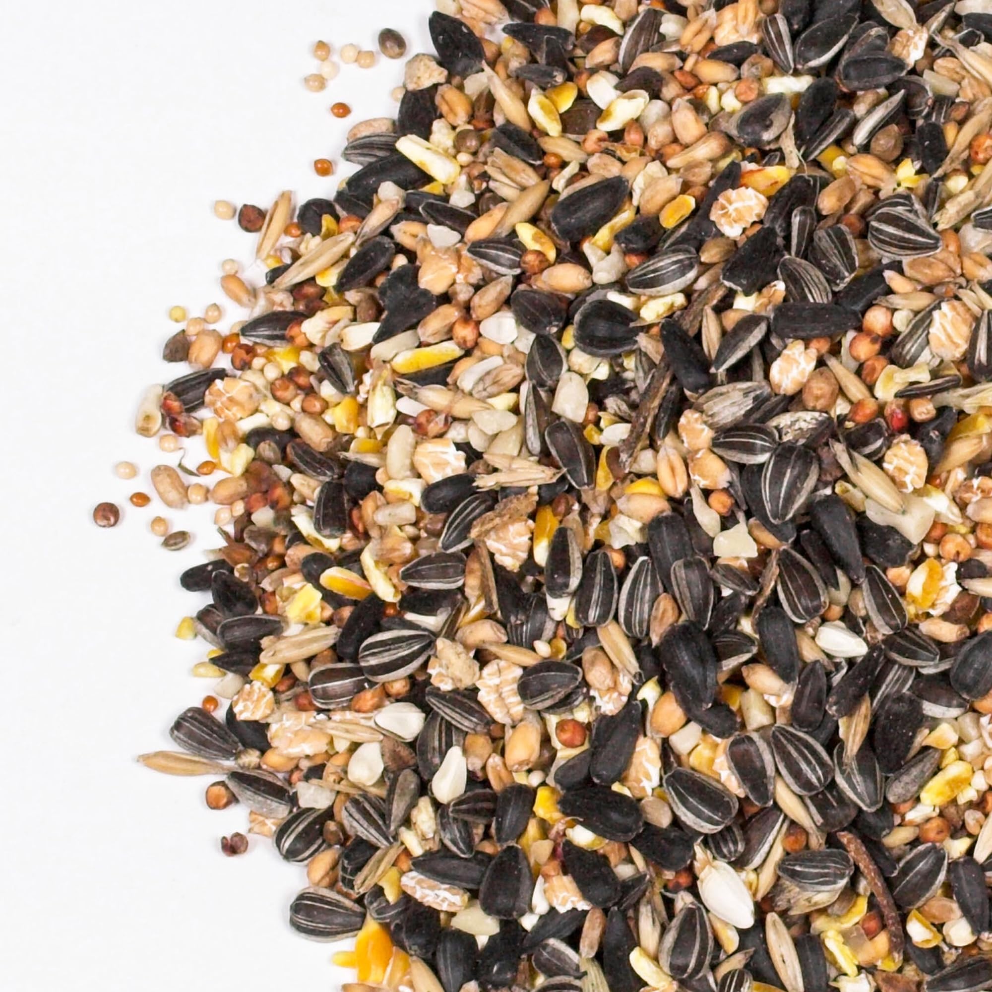 Mezcla de Semillas para Aves GardenersDream Deluxe - Mezcla Esencial de Trigo, maíz, Sorgo, Girasol y mijo - Nutrición óptima para Aves al Aire Libre.