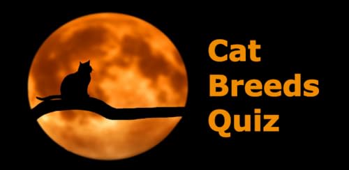 Cat Breeds Quiz