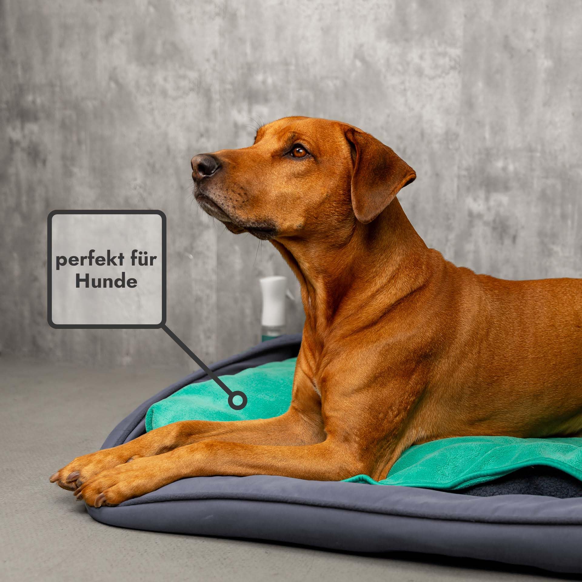 unicopuro® Soft Touch Microfaser Handtuch 140 × 70 cm anthrazit 4er Set – vielseitiges Multifunktionstuch mit 3 L Saugkraft – für Körper, Babyhaut, Haustiere & Bad – superweich & waschbar bei 60 °C