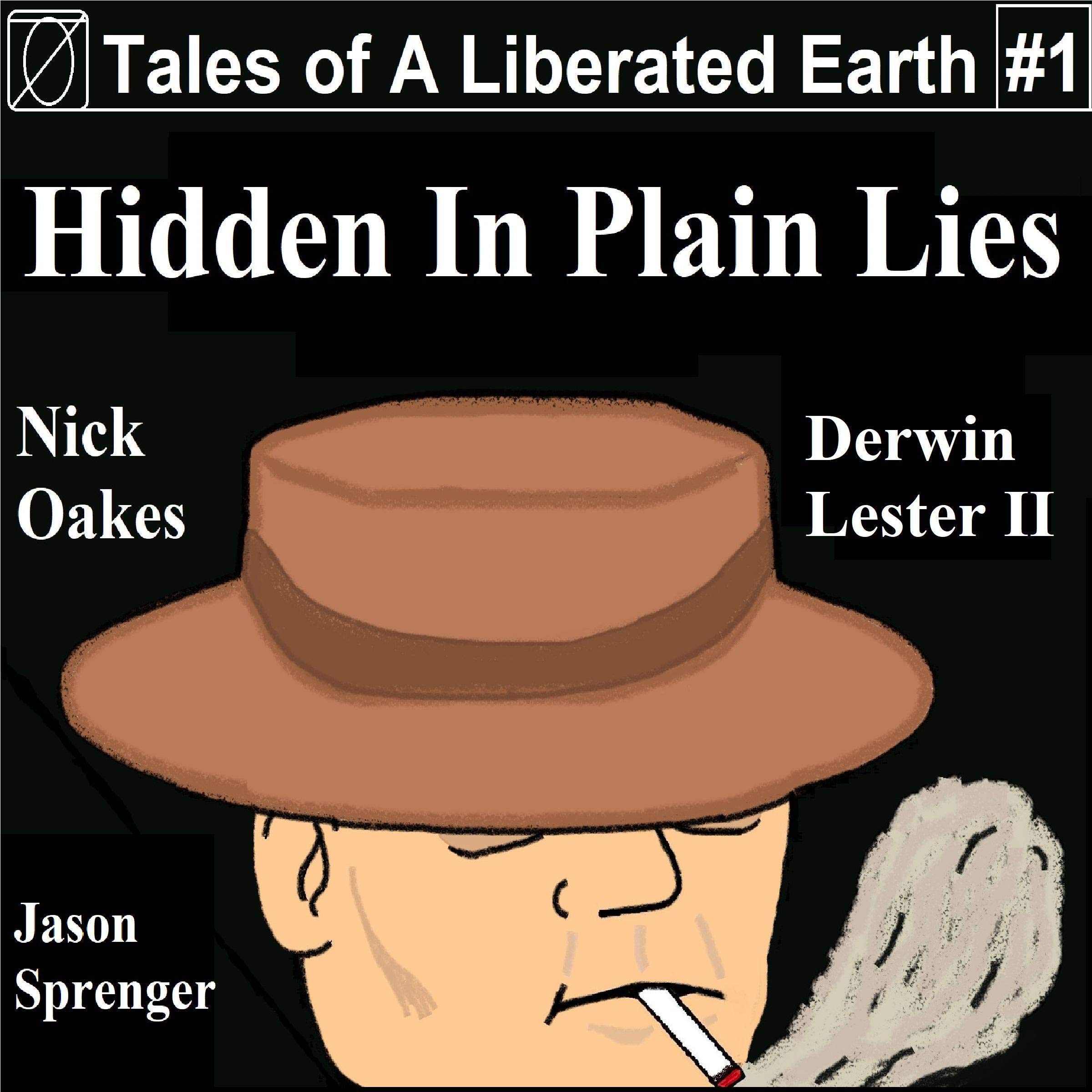 Cover art for Hidden in Plain Lies