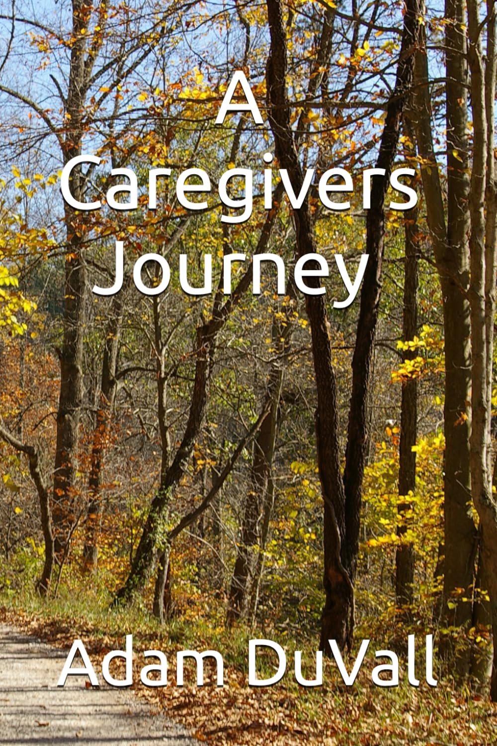 A Caregivers Journey