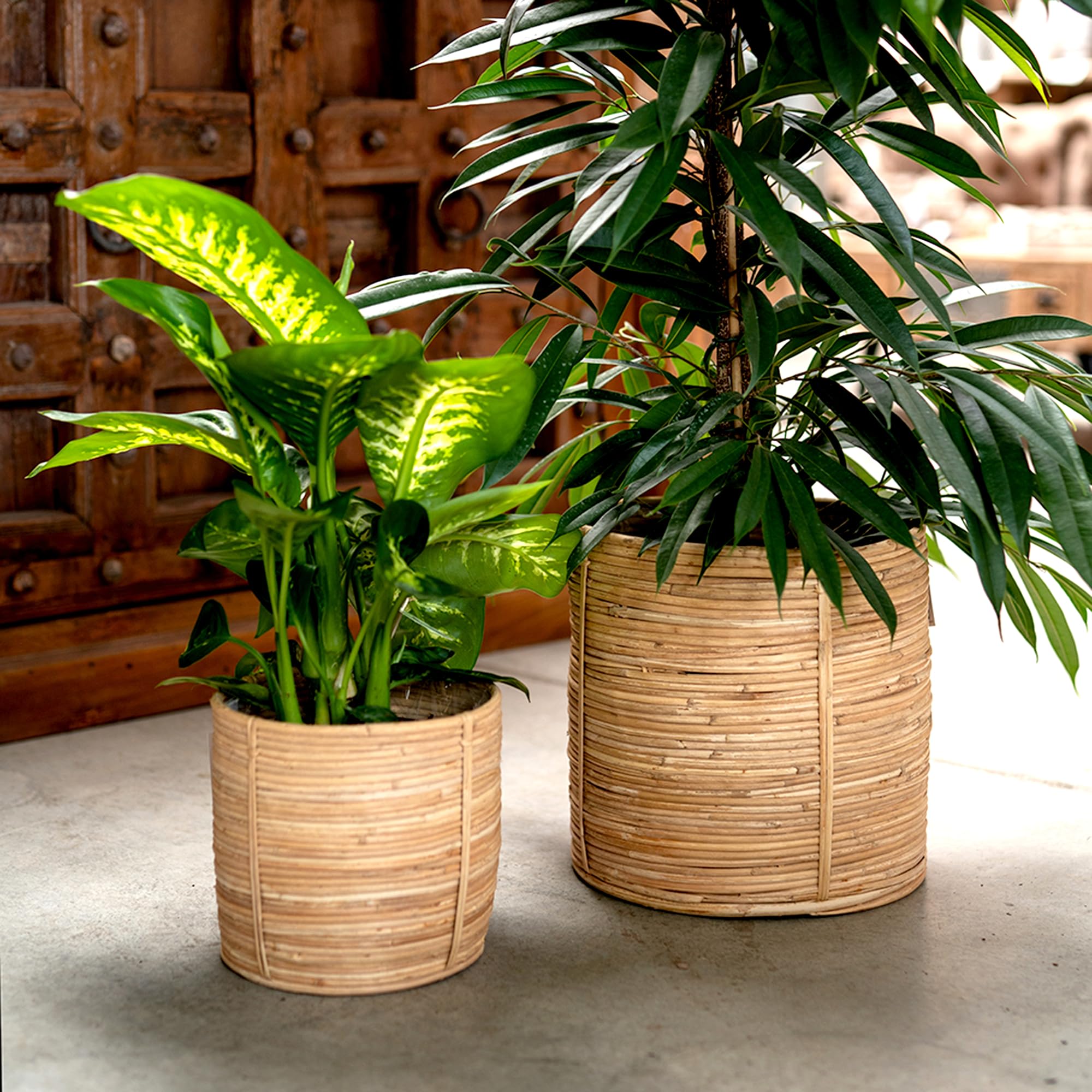 DARO DEKO Rattan Korb Topf 3er Set rund Blumentopf geflochten Aufbewahrungskorb Übertopf Blumenkorb