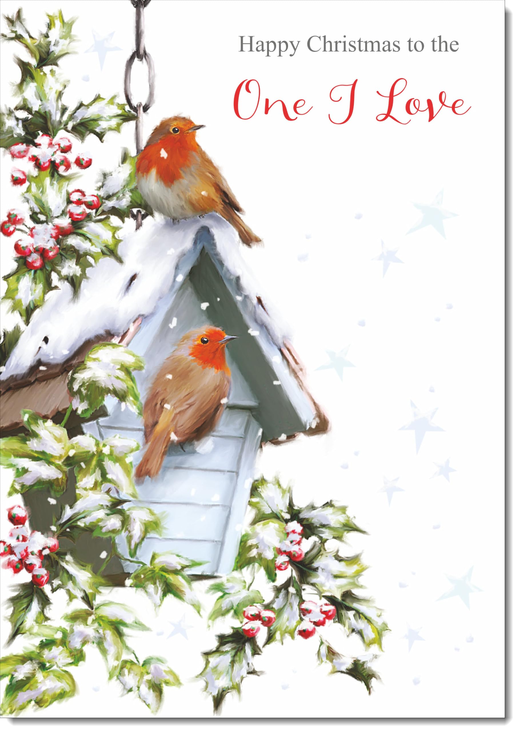 doodlecards One I Love Christmas Card Two Robins in Snow Large A4 Size Christmas Card for One I Love with Plain Envelope