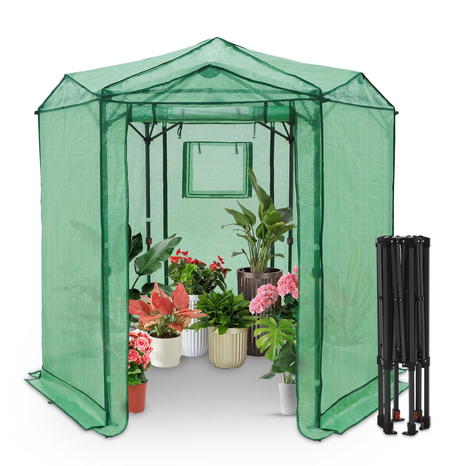 EAGLE PEAK 6.6x6.6 Easy Setup Pop Up Greenhouse, Hexagon, Clear/Green