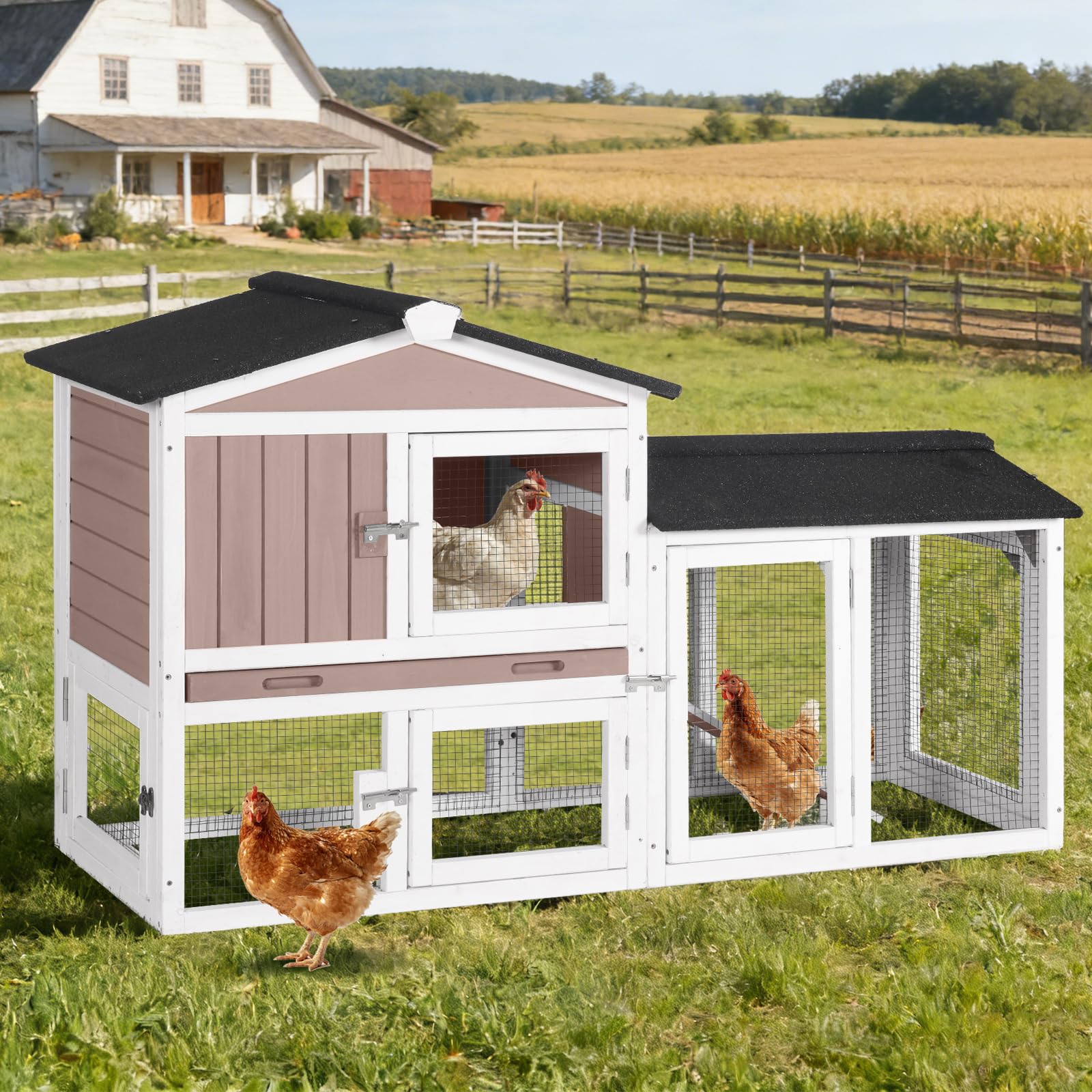 Aivituvin Chicken Coop
