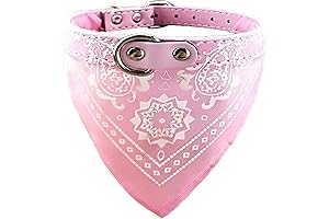 Fashion Bandana Collar: Ultimate Style and Comfort for Your Furry Friend