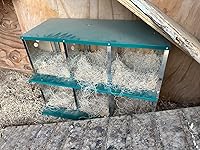 Review Image by Jason N Jason N