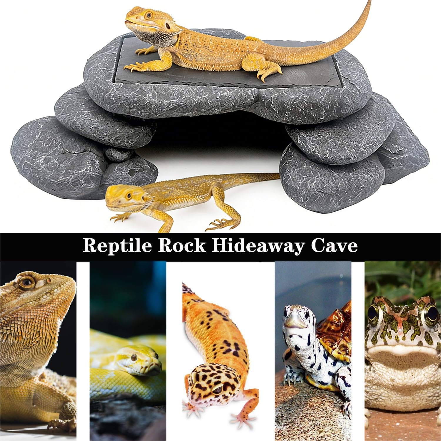 Plataforma grande de dragón barbudo, piel de lagarto, serpiente o reptil con piedra de pizarra de almacenamiento de calor, 12.6 x 7 x 3.5 pulgadas