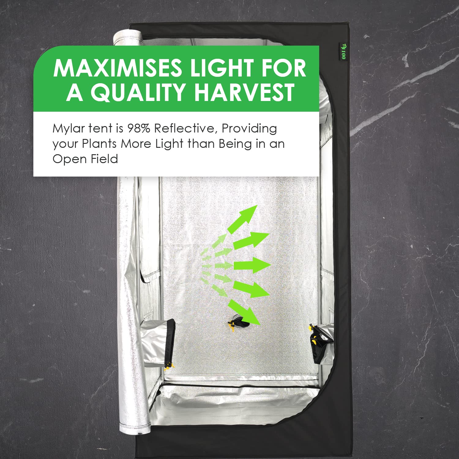 GrowTNT100-Grow Tent 100 x 100 x 200 cm para Cultivar en Espacios pequeños, Tienda hidropónica con Ventana de fácil visualización, Tienda de Cultivo Interior 100