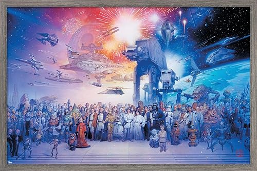 Trends International Star Wars Saga - Galaxy Wall Poster, 22.375" x 34", Barnwood Framed Version