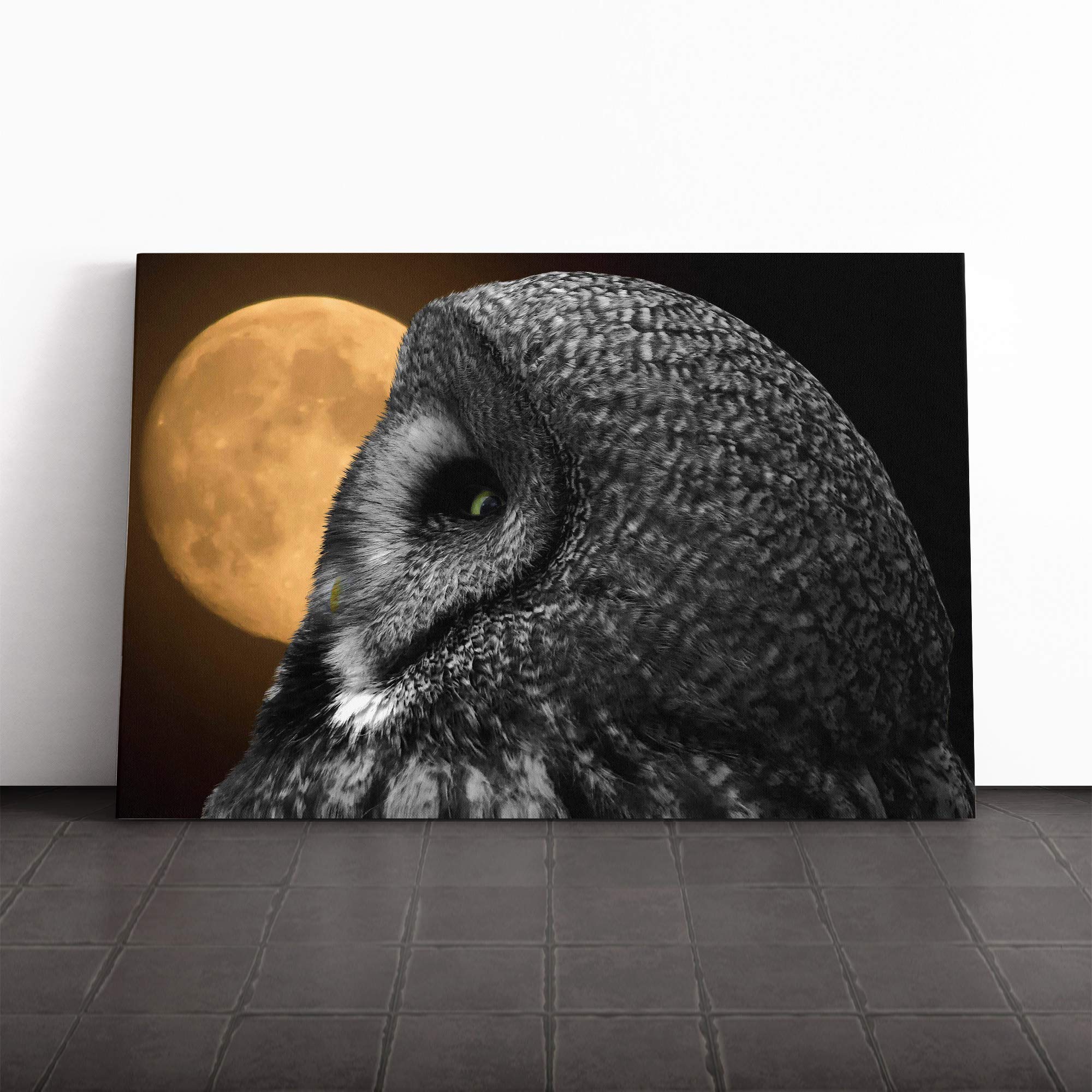 Owl and Moon Canvas Print | Gallery Wrapped 30mm Frame Wall Art | 30x20 inches | Ready to Hang | Contemporary Space Picture | Living Room Bedroom Lounge Office