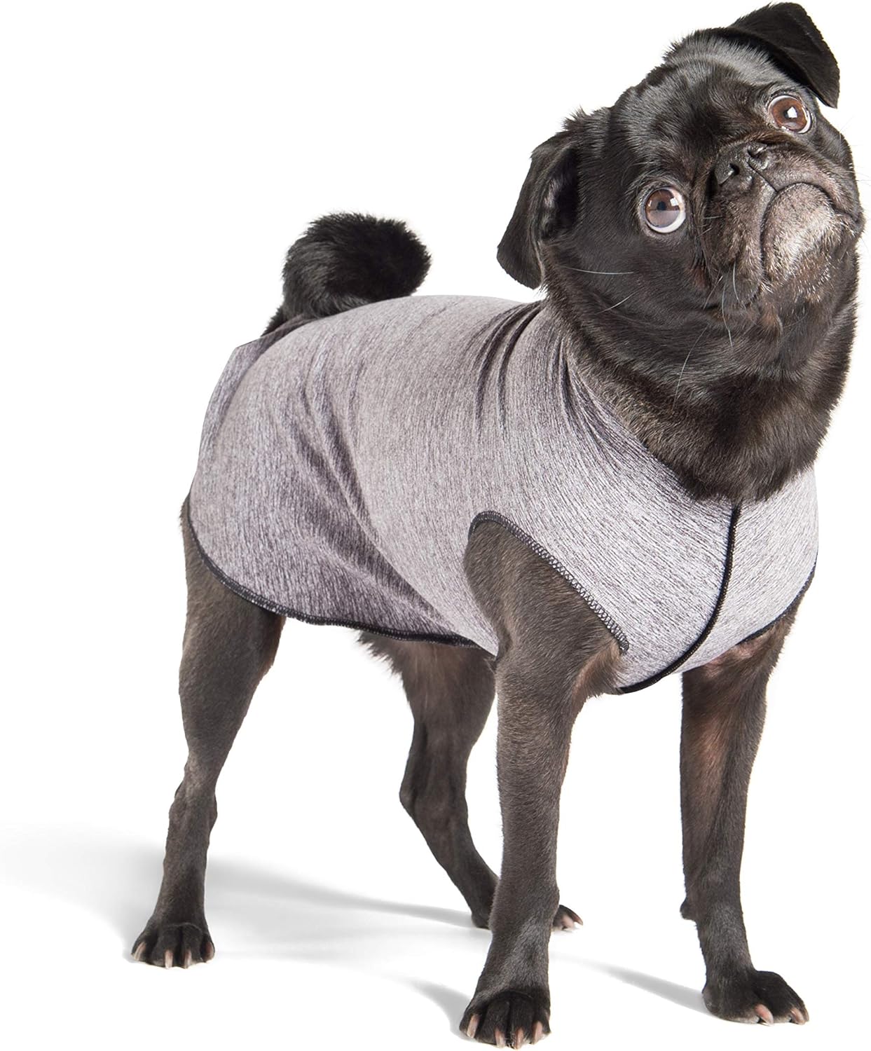 Gold Paw Sun Shield Dog Tee – T-Shirt for Canines – UV Protection, Pet Anxiety Relief, Wound Care – Protects Against Foxtails, Aids Alopecia - Machine Washable, All Season – Size 4 – Grey