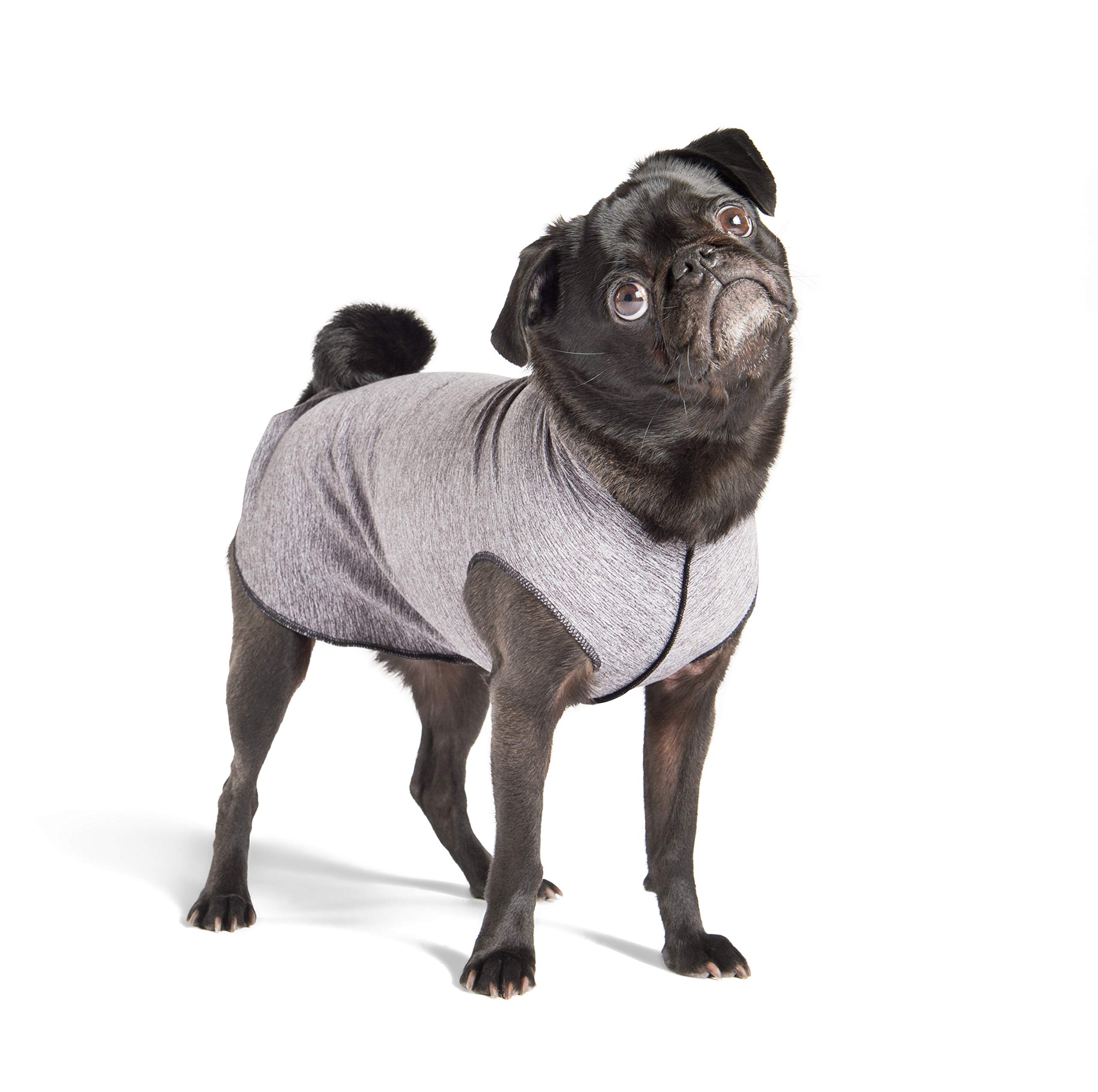 Amazon | ゴールドPaw Sun Shield犬Tee – Grey Heather Size 16 グレー