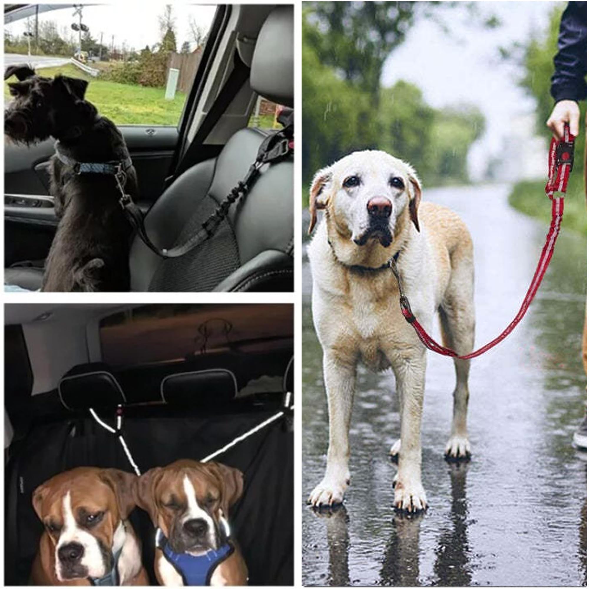Ceinture de sécurité de voiture pour chien – Harnais de voiture réglable pour animal domestique, retenue rembourrée pour chien, laisse élastique en nylon durable (noir)