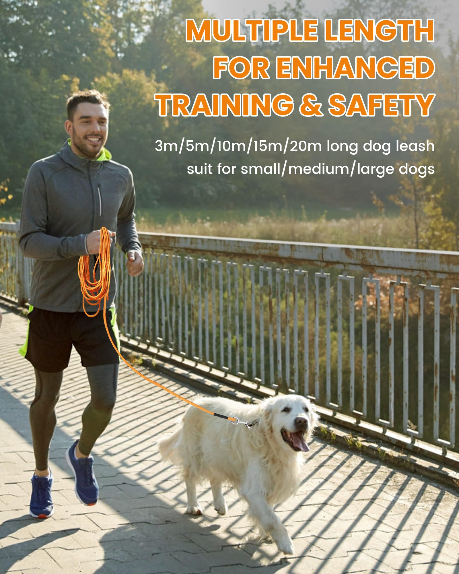 PETTOM Longe Chien 3m 5m 10m 15m 20m, Laisse Chien Longue avec 2 Mousquetons, Longe Corde d'attache Réfléchissante, 10m, Orange