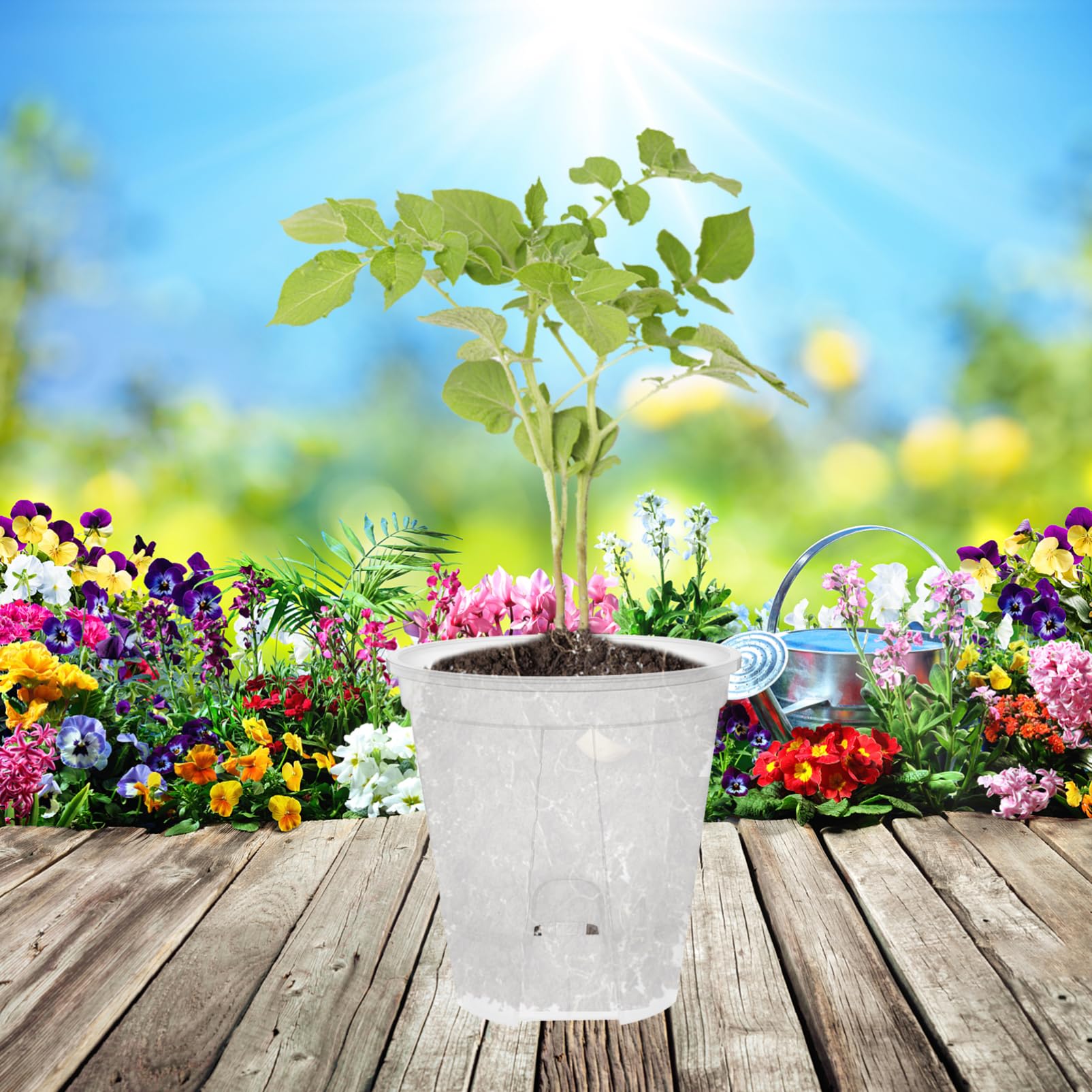 Toyvian 6 Pièces Pots de Fleurs Plastique Transparent Autonome Pots à Drainage pour Plantes Intérieur Respirants pour Orchidées Auto Arrosage pour Intérieurs