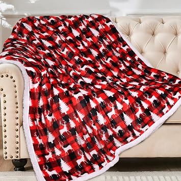 HITIME Christmas Sherpa Fleece Throw Blanket for Couch Bed Sofa Adults -Soft and Warm Blanket for Winter, Thick and Fuzzy Throw Blanket Throw - 50" x 60" - E