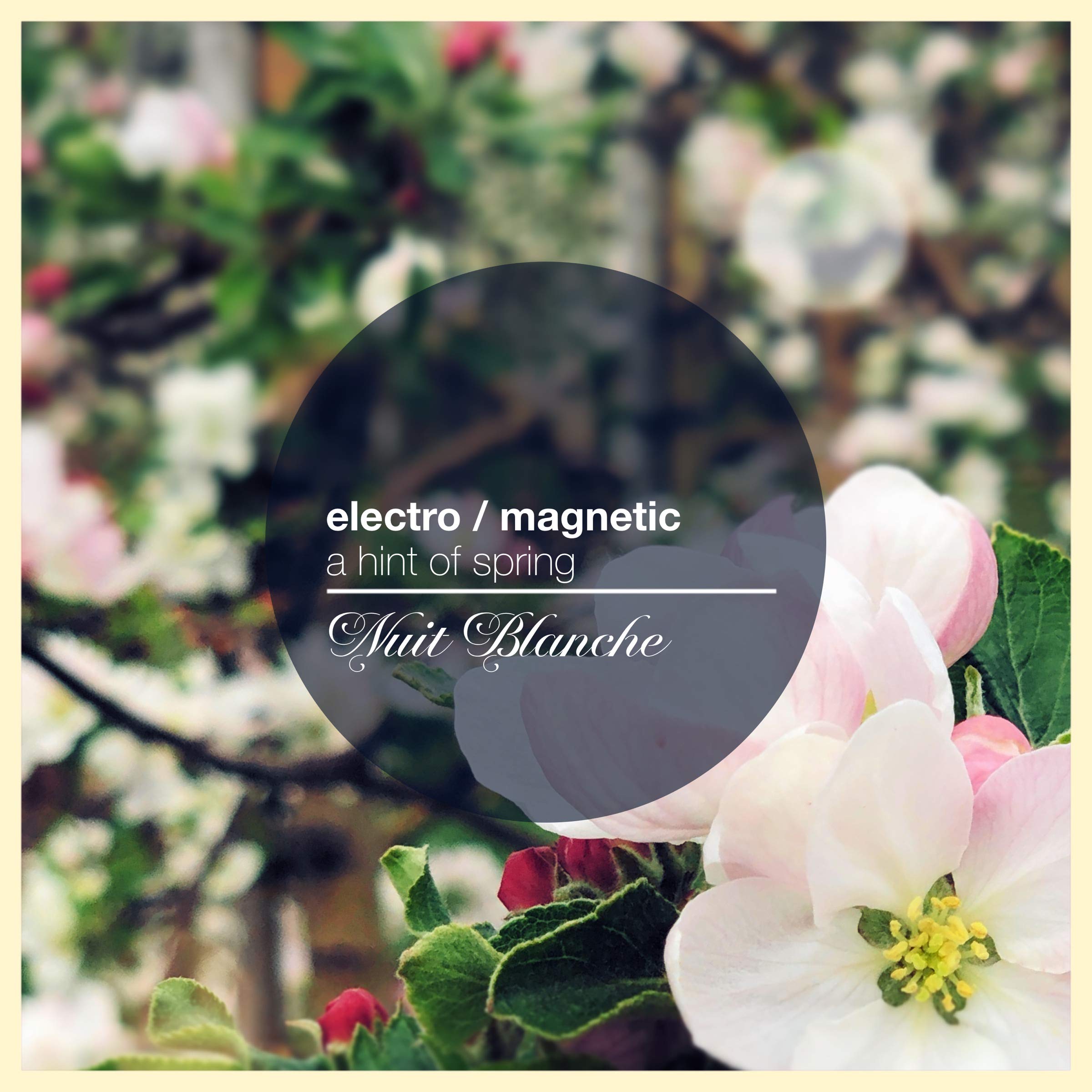 Electro / Magnetic