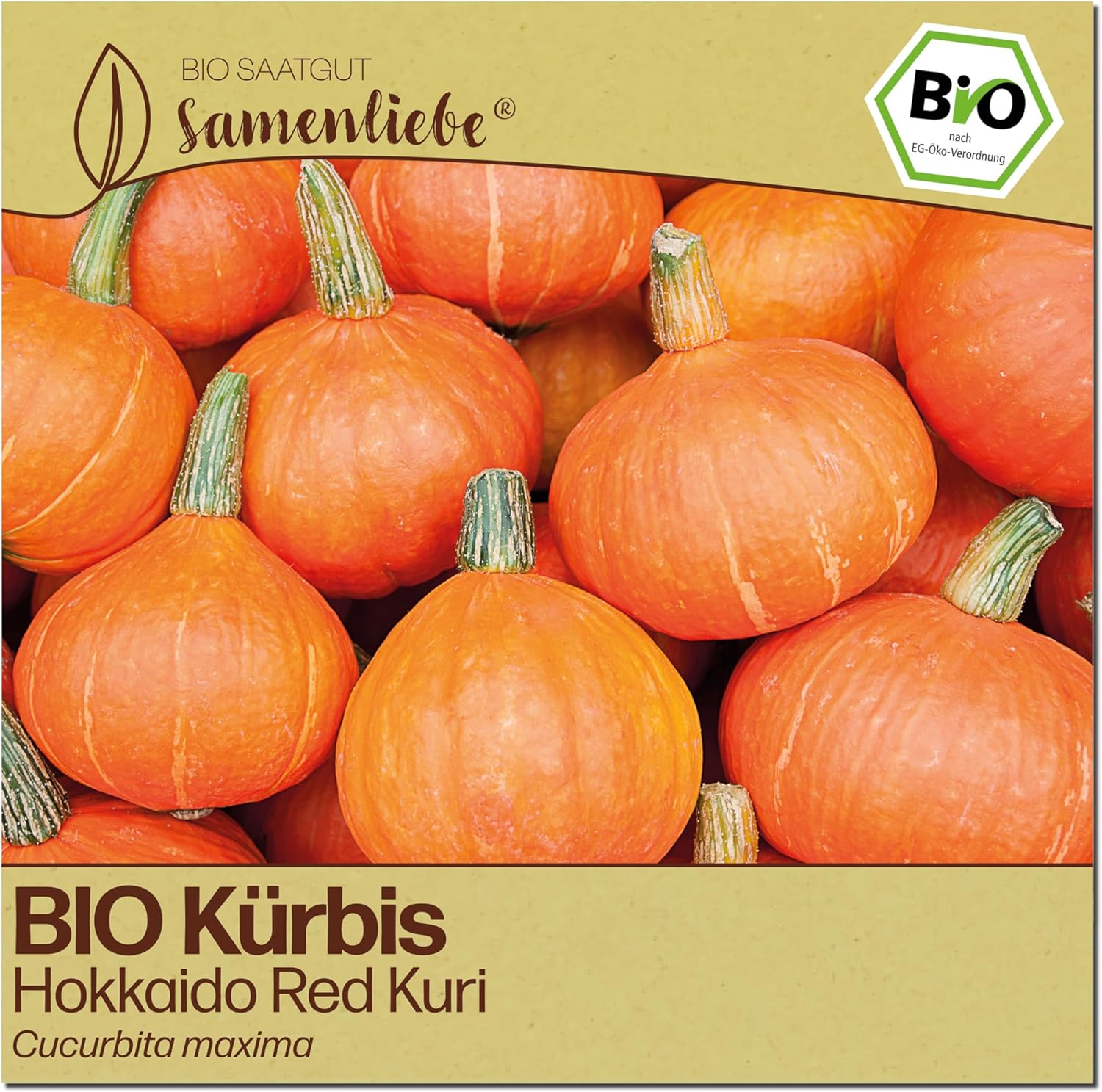 Samenliebe Hokkaido Kürbis samenfestes Gewächshaus Gemüsesamen