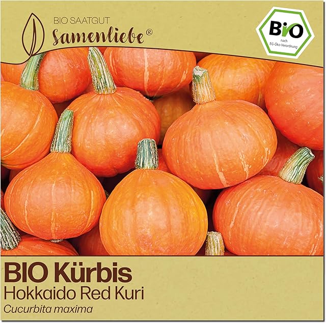 Samenliebe Samenliebe Hokkaido Kürbis samenfestes Gewächshaus Gemüsesamen — Saatgut