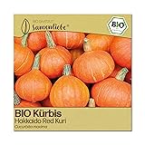 Samenliebe BIO Hokkaido-K&uuml;rbis Samen alte Sorte