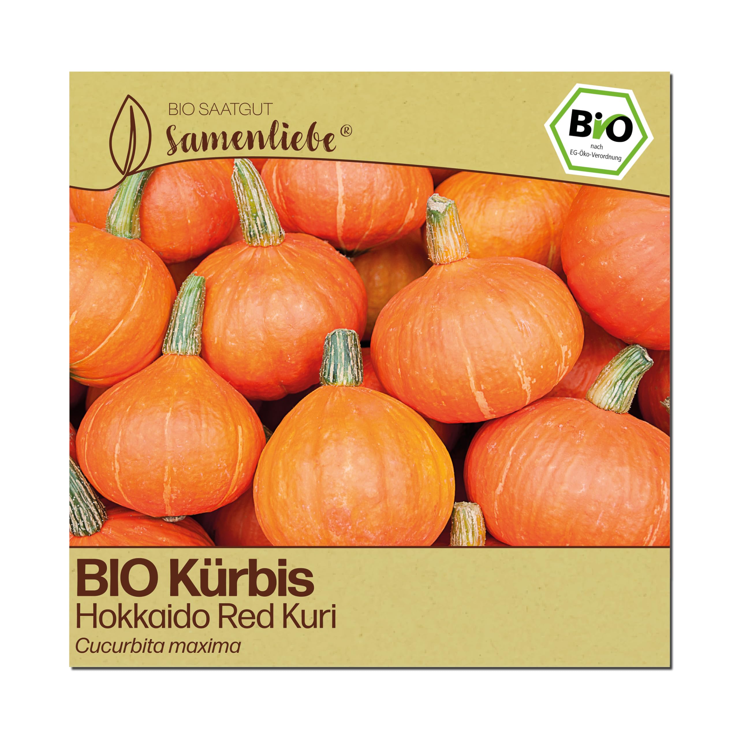 Samenliebe BIO Kürbis Samen | Hokkaido Red Kuri - samenfestes BIO Saatgut