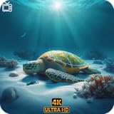 😌 Relaxing marine visuals Sea Turtle – Ocean Nature Screensaver