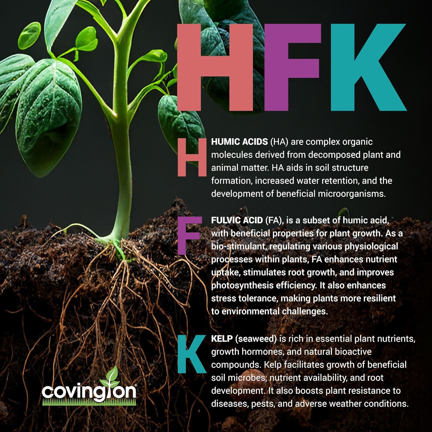 Covington PRO-LINE Humic Acid, Fulvic Acid, Kelp Seaweed Fertilizer (32oz), HFK-633 Superior Potassium Nitrate Root Growth Stimulant with Humic, Fulvic & Kelp Fertilizer for Plant & Tree Root Health