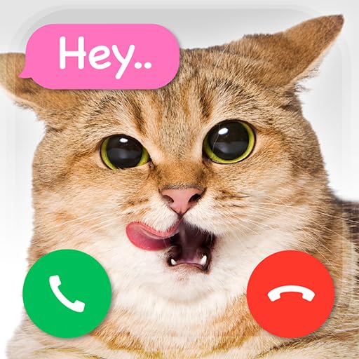 Fake Calls CATS prank