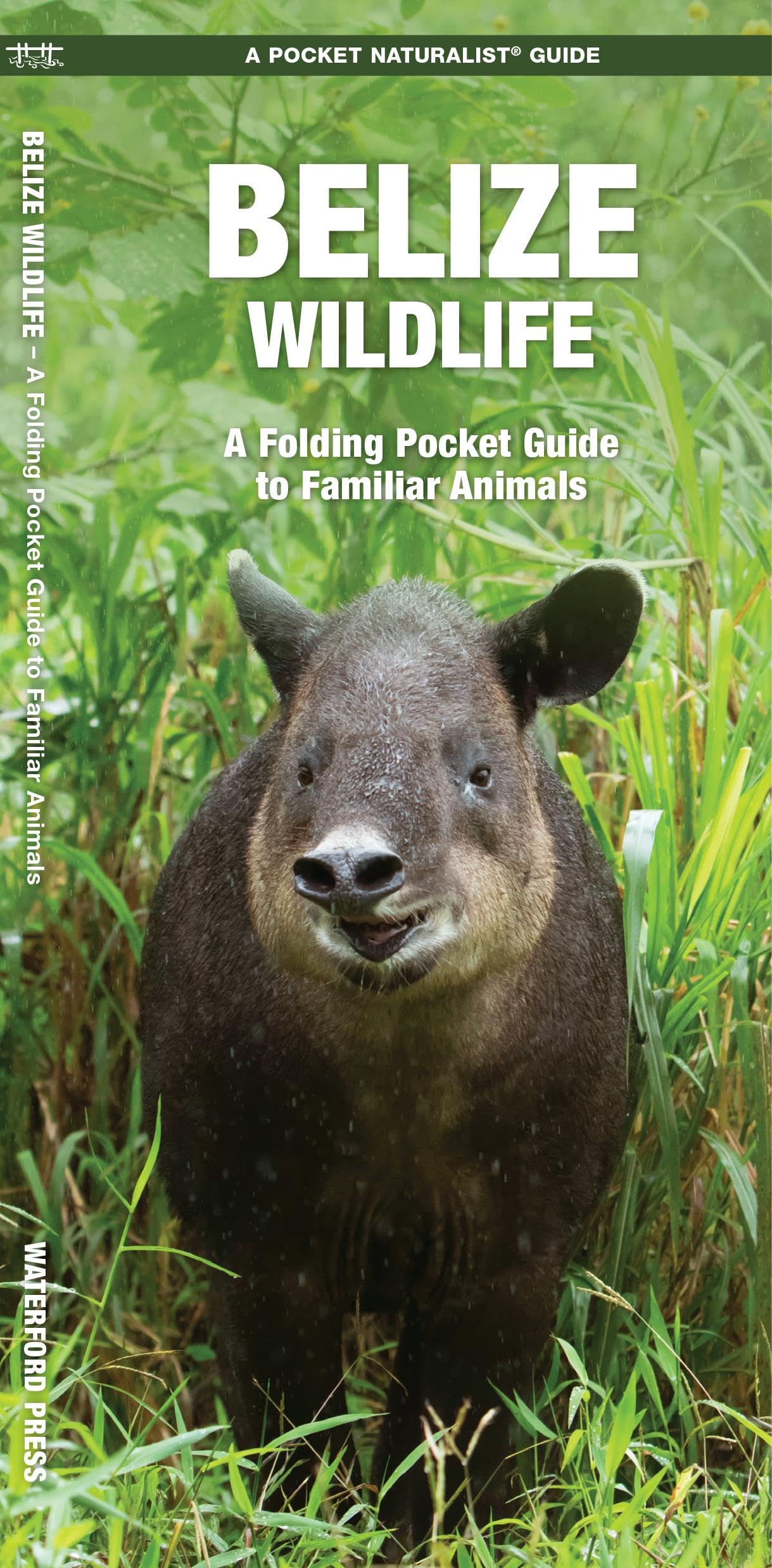 Belize Wildlife: A Folding Pocket Guide to Familiar Animals Pamphlet – Illustrated, 14 March 2016