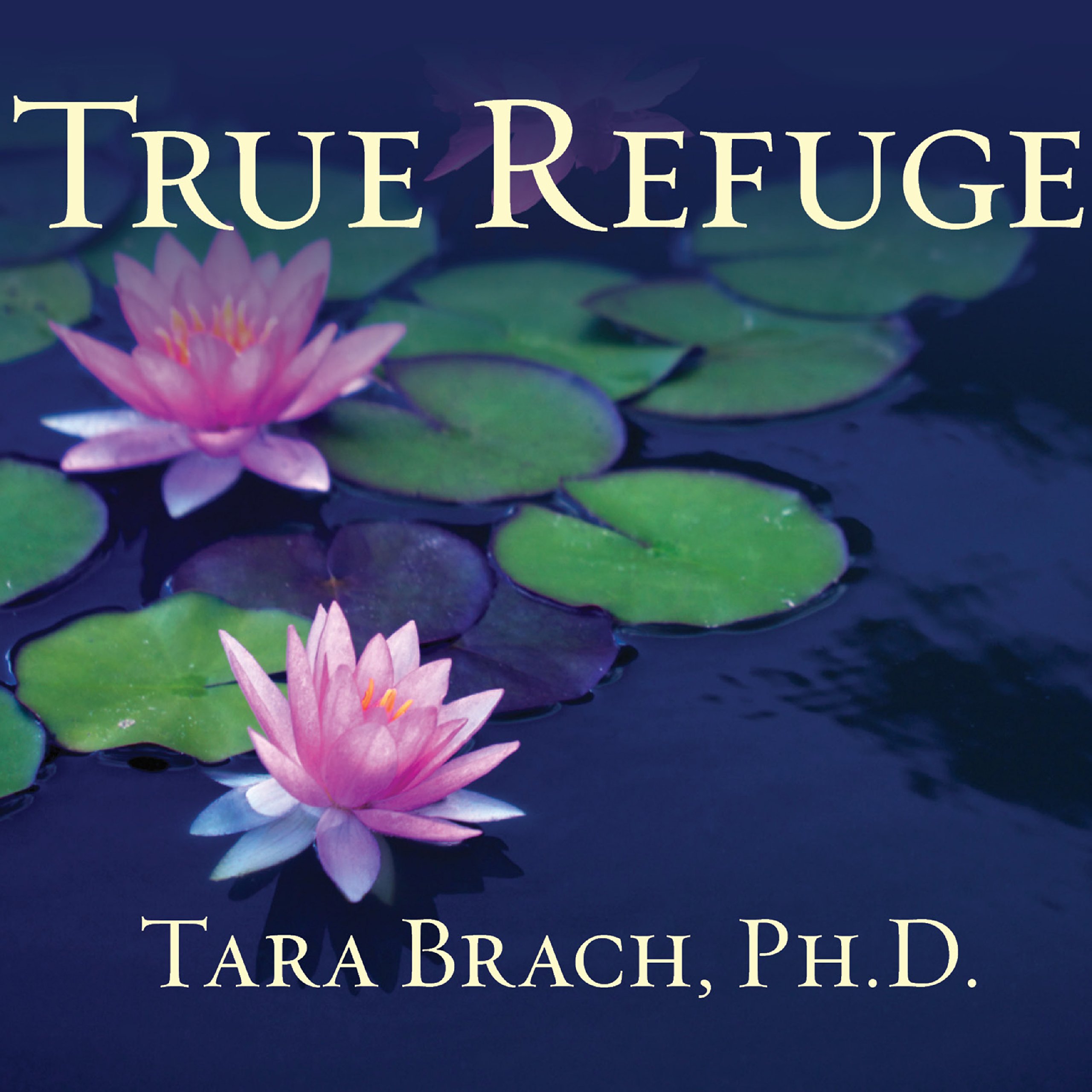 Cover art for True Refuge