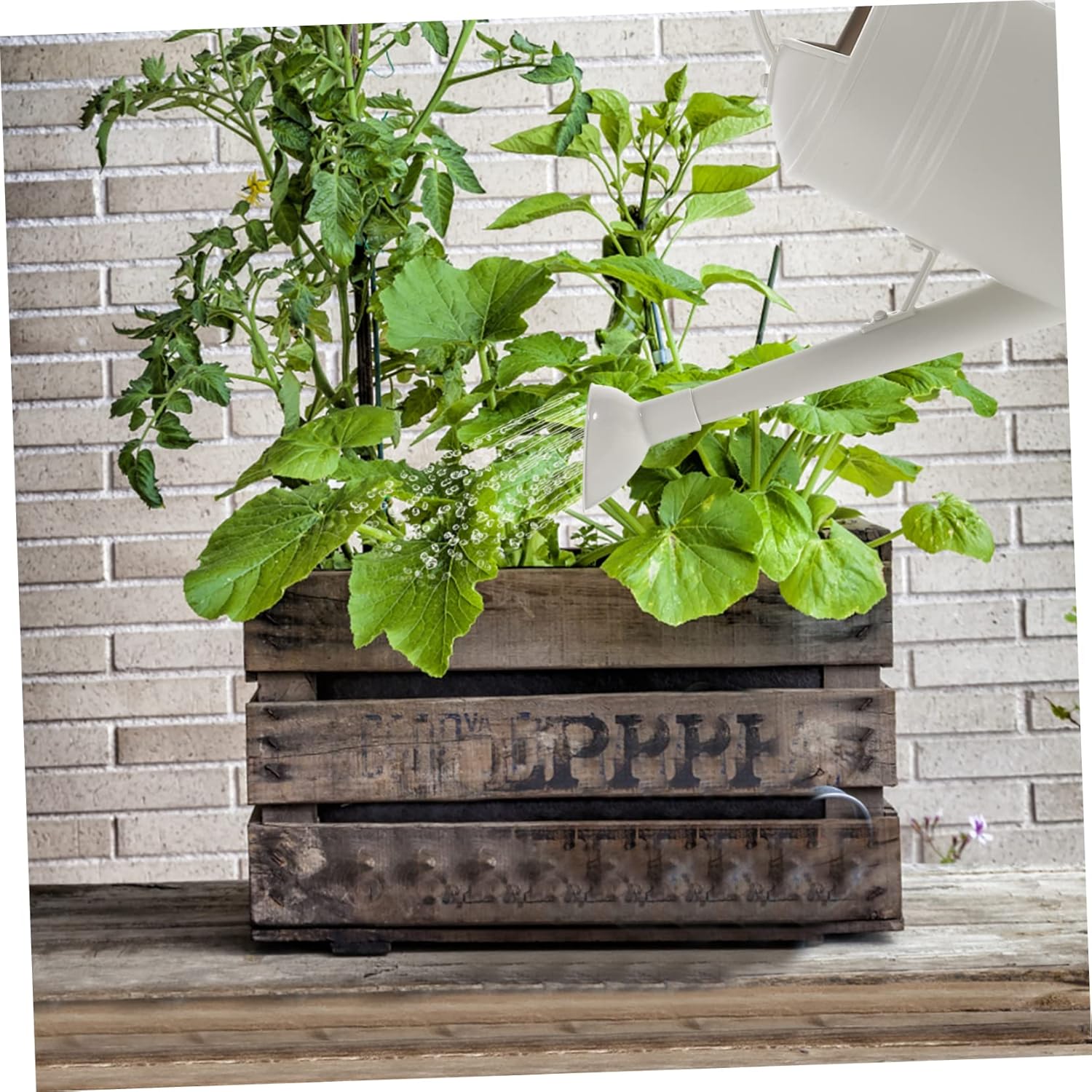 Watering Can for Indoor and Outdoor Plants Ergonomic Watering Pot Spout for Houseplants and Potted Flowers Design