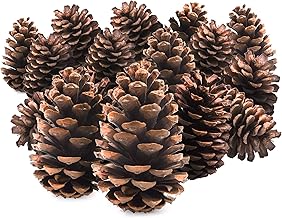 TRIXES 15pc Pine Cones – Tree Decorations – Christmas Wreath Garland Making Supplies – Pot Pourri – 12 cm Size – Pine Cone Craft Accessories – Colour Natural Brown