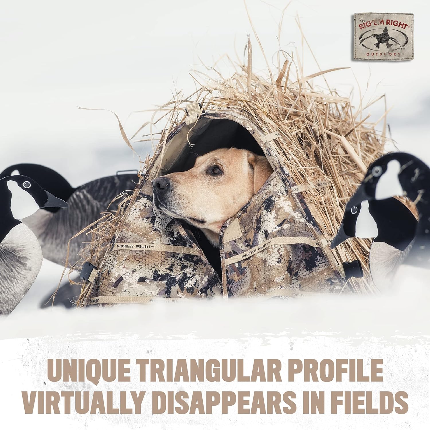 Rig'Em Right Waterfowl Field Bully Bird Hunting Dog Blind - Ultra Quick Setup with no Pins, Hinges or Poles