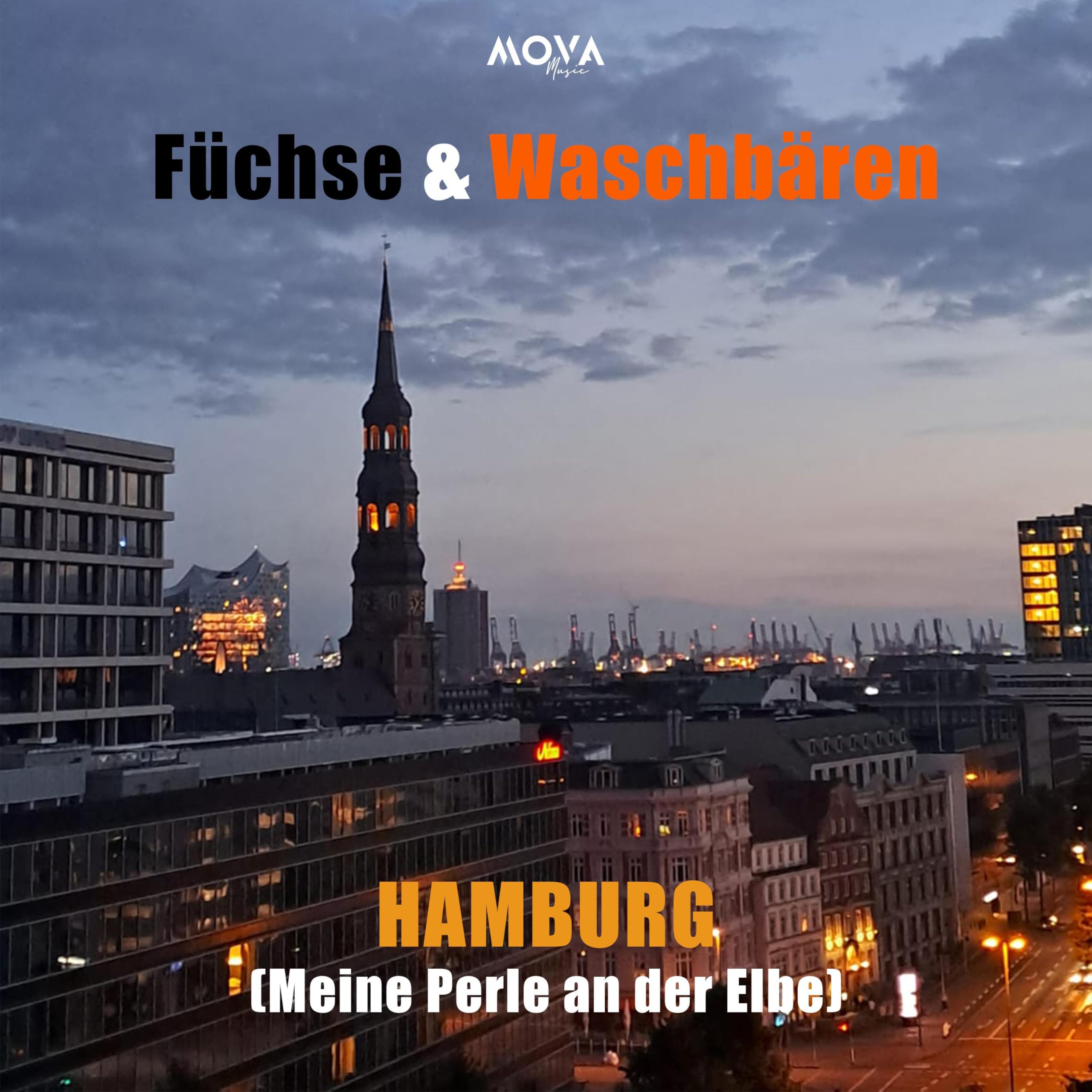 Füchse & Waschbären