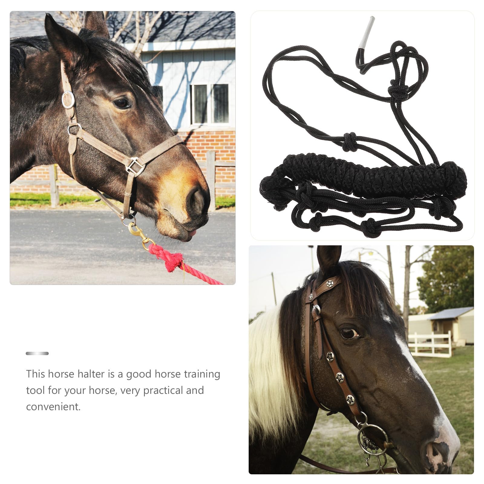 FOMIYES Cavezza per Cavalli in Corda Resistente, Collare da Equitazione Professionale in Poliestere, Cavezza Pratica Completa Nodi Regolabili, Accessorio per Controllo Sicuro del Cavallo,
