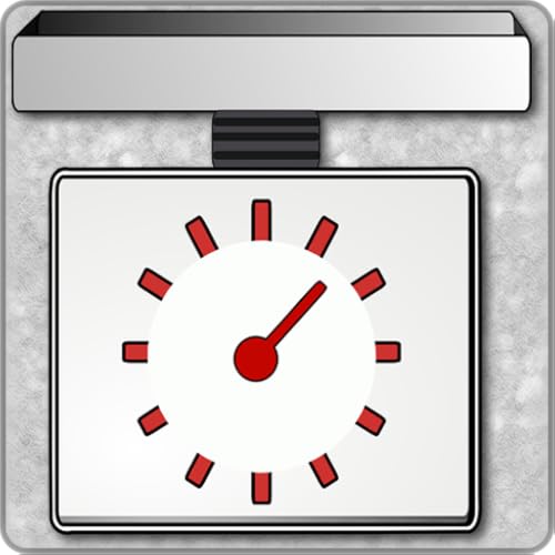 Precision digital scale