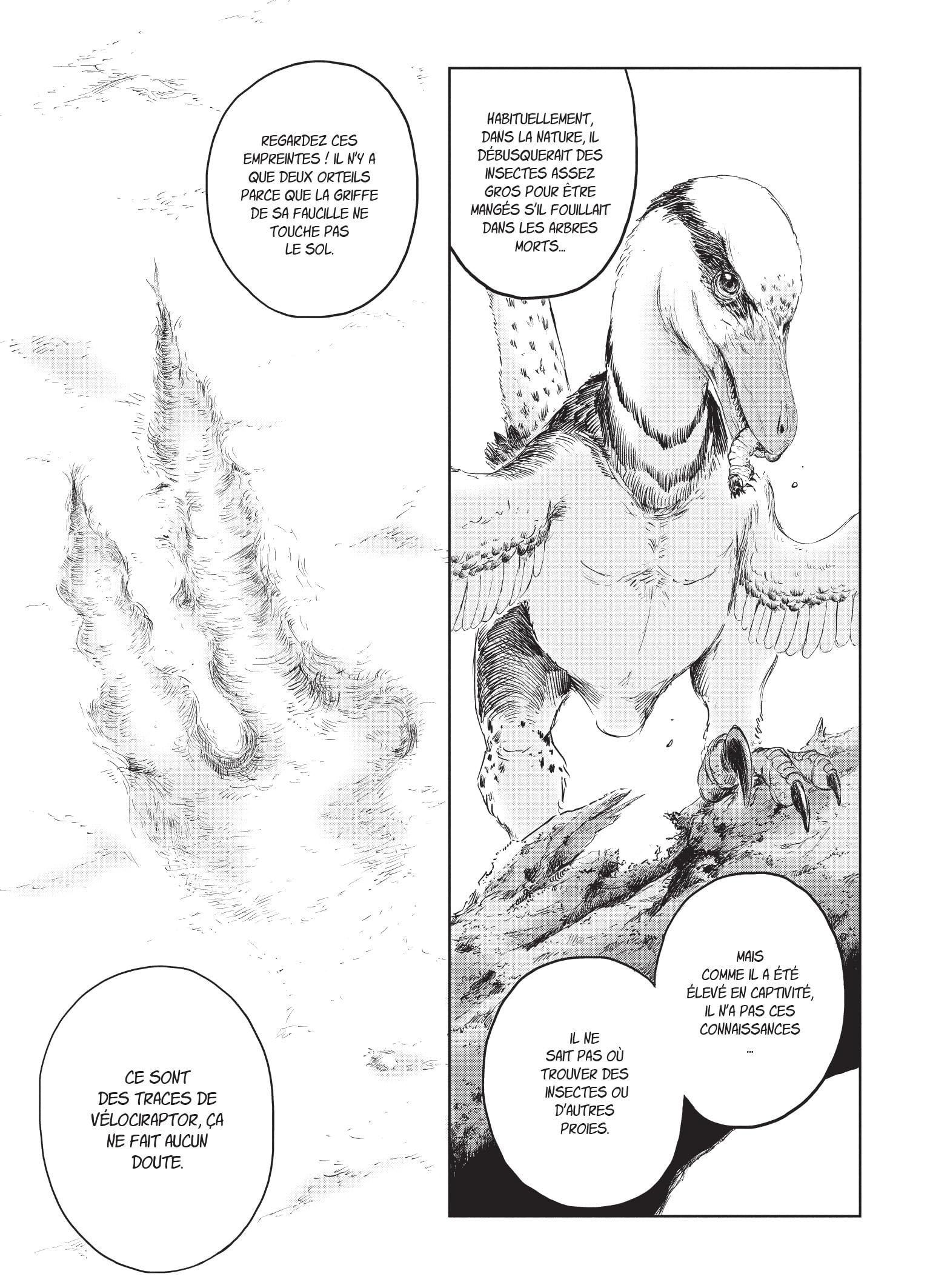 Dinosaurs Sanctuary - Tome 4 (4)