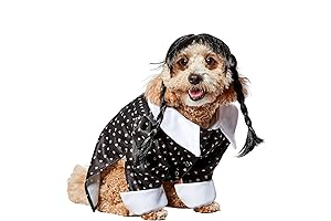 Wednesday Addams Dog Costume: Embracing the Spooky Chic