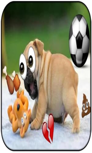 Stickar Maker App