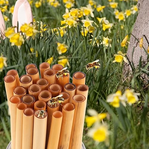 Miniatura 2 de TEHAUX Varillas de bambú, 50 unidades, tubos de cartón para abejas, tubos de repuesto para apicultores, tubos de recambio de anidación, insertos de