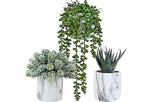 Winlyn: Modern Marble Decor with Lush Artificial Succulents
