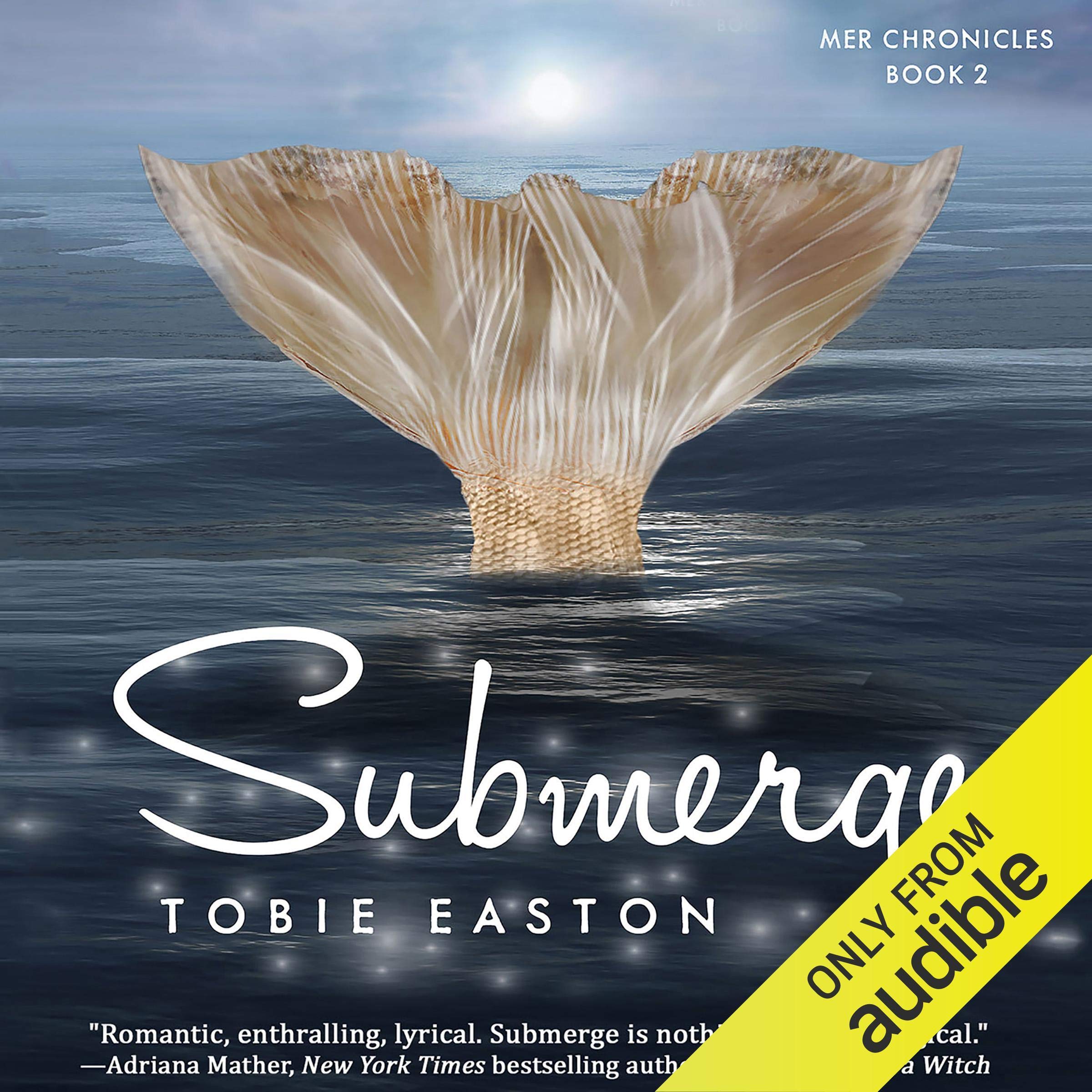 Cover art for Submerge