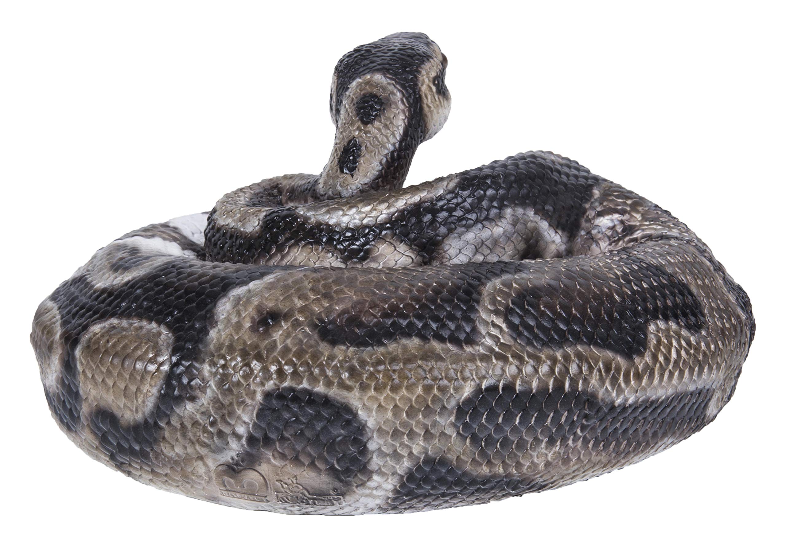 Amazon.com : Hi-Line Gift 87680-B Regius Ball Python Statue
