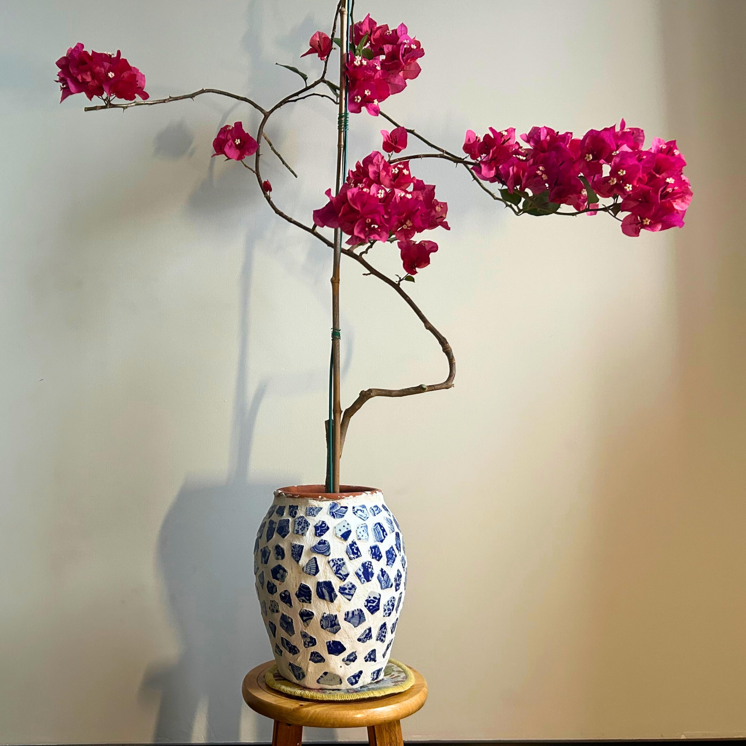 Yuvori Carreaux De Mosaïque Modernes Abstraites Géométriques Irrégulières En Porcelaine De 0,5 Kg, Faites à La Main, Salle De Bain, Salon, Cuisine, Extérieur (02, Taille M