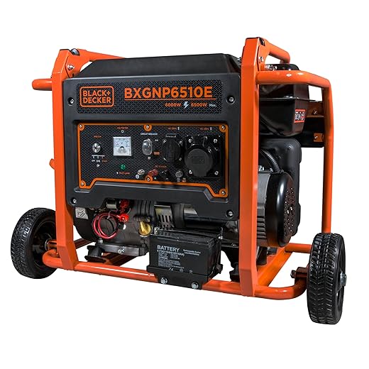 GASOLINA Generator 6500W BXGNP6510E